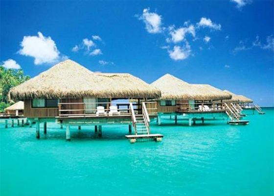 Σπίτια με ξύλινη διακόσμηση και μεταλλικό σκελετό, Έτοιμα κιτ για Μονοκατοικίες